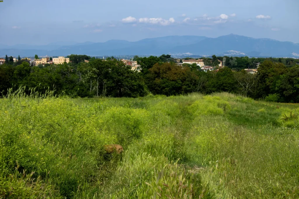 riserva dell'insugherata riserva dell'insugherata