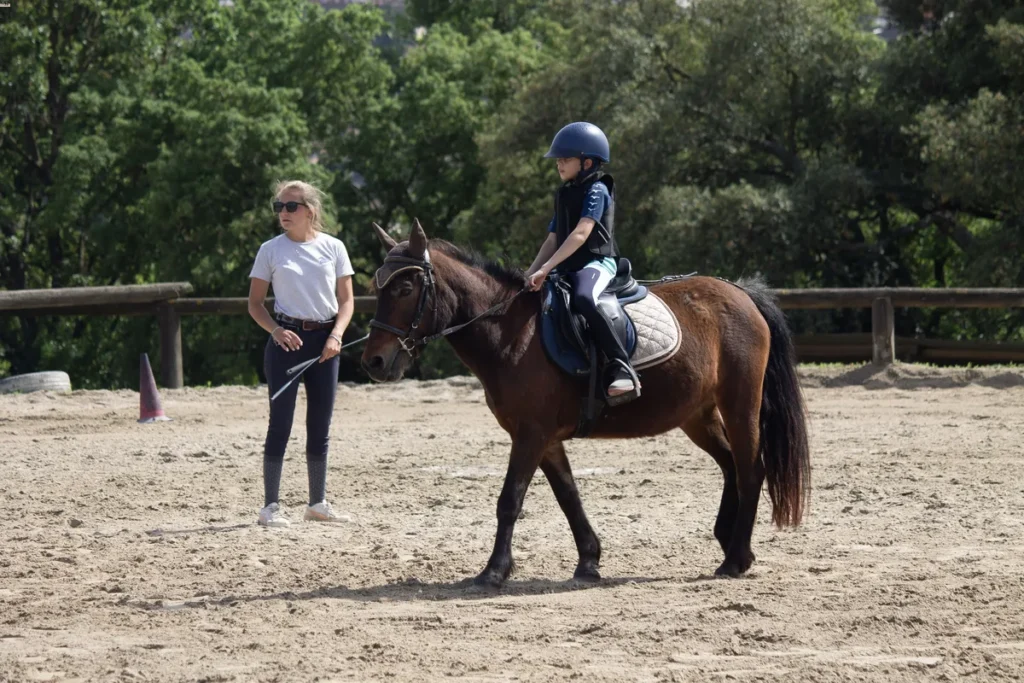 scuola pony 4-16 scuola pony 4-16